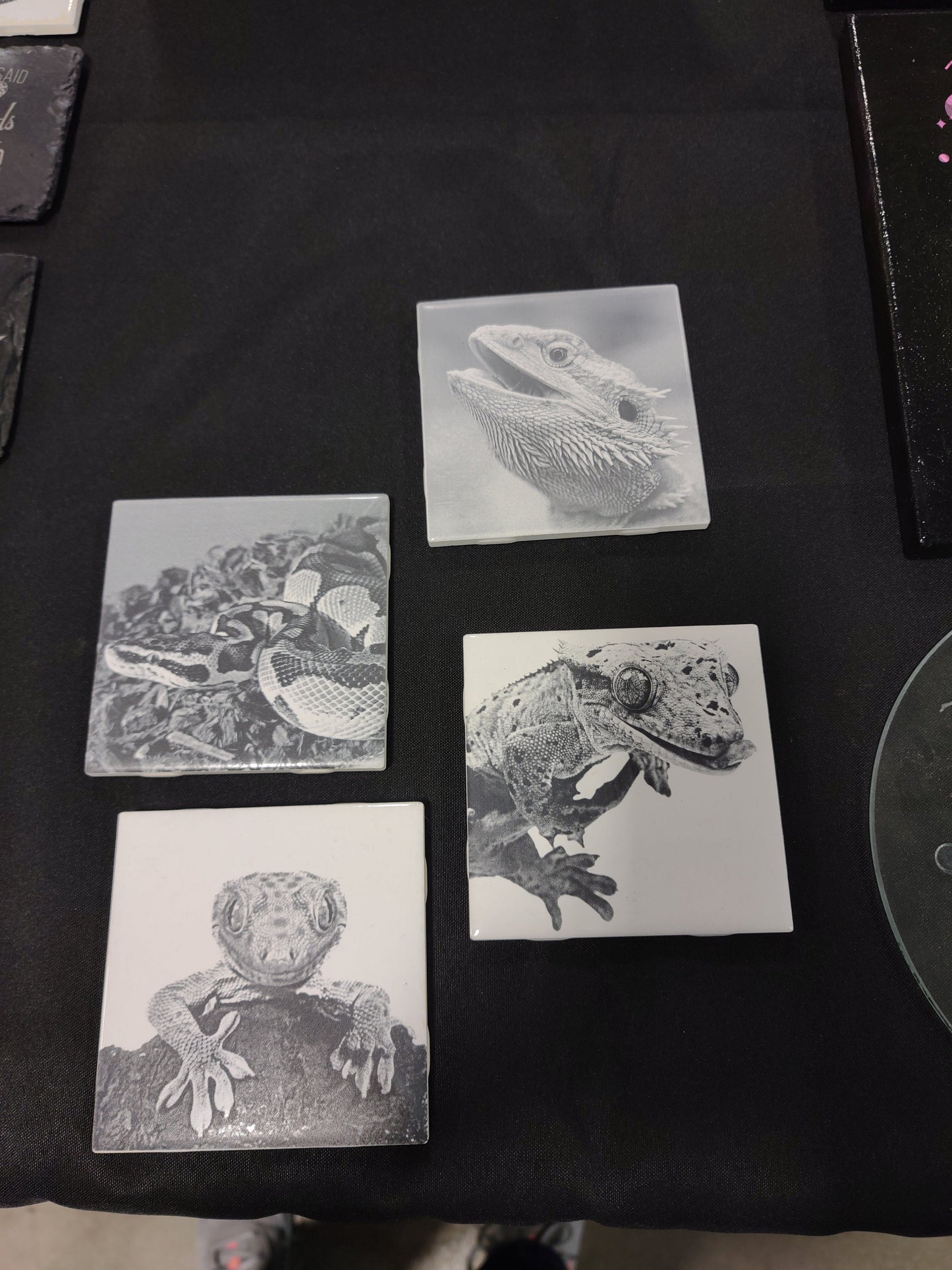 Reptile Tile/Coaster