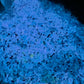 Barium - Mixology Glow in the Dark Glitter