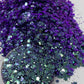 Acai - Color Shift Mixology Glitter