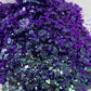 Acai - Color Shift Mixology Glitter